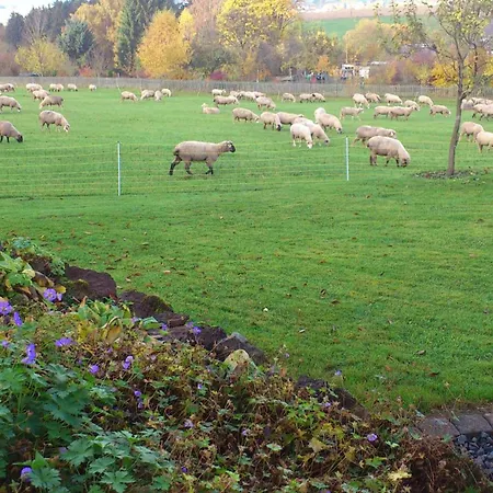 Wald Und Wiese Apartman *