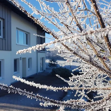 Wald Und Wiese Apartman *