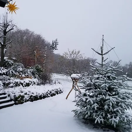 Wald Und Wiese